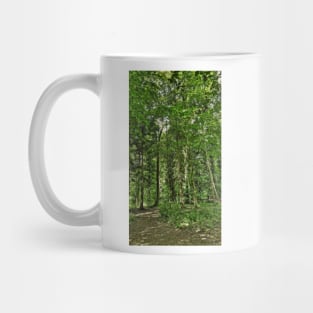 Woodland Walk Mug